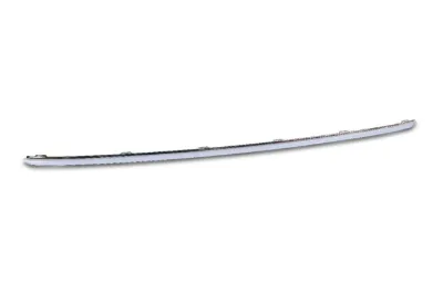 Embellecedor central del parachoques trasero VAG 3AF8074432ZZ
