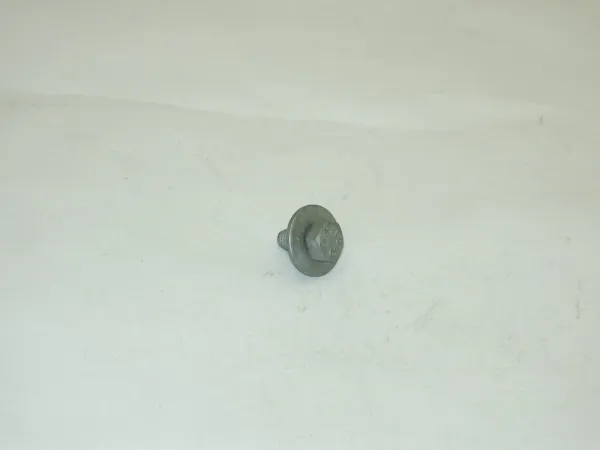 Tornillo (tuerca) de sujeción N10009110 VAG