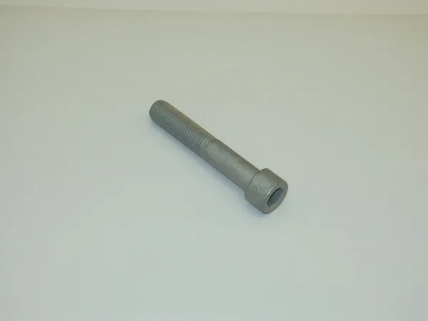 Tornillo culata N10065003 VAG
