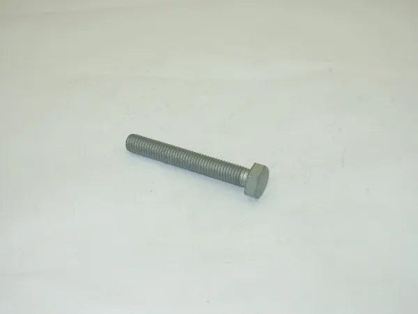  N10295605 VAG