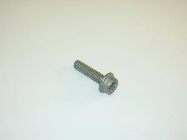 Tornillo culata N10619401 VAG