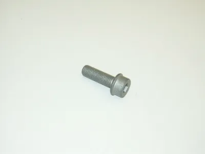 Tornillo de la pinza de freno VAG N90740302