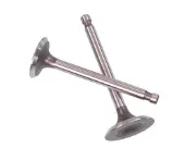 Válvula de admisión