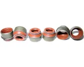 Sello De Aceite De Valvula (Rascador De Aceite) Entrada/Salida Kit De Motor