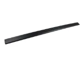 Moldura superior de puerta delantera izquierda