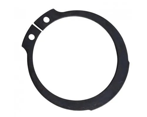 Anillo de cubo 17291481 Iveco