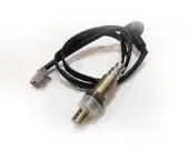 Sensor de temperatura del aire de admisión Ford Fiesta V JH, JD