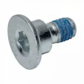 Tornillo de disco de freno