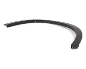 Listón embellecedor/protector, guardabarros delantero izquierdo