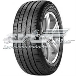 Neumáticos de verano 1901400 Pirelli