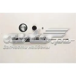 Amortiguador trasero BMW 5 E61