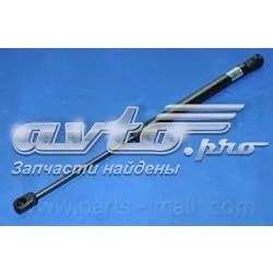 Amortiguador de vidrio de portón trasero (puerta trasera 3/5) PQA502 Parts-Mall