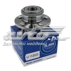 Cubo de rueda trasero IJ112023 Iljin