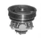 WPQ0322 Magneti Marelli