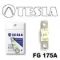 FG175A Tesla