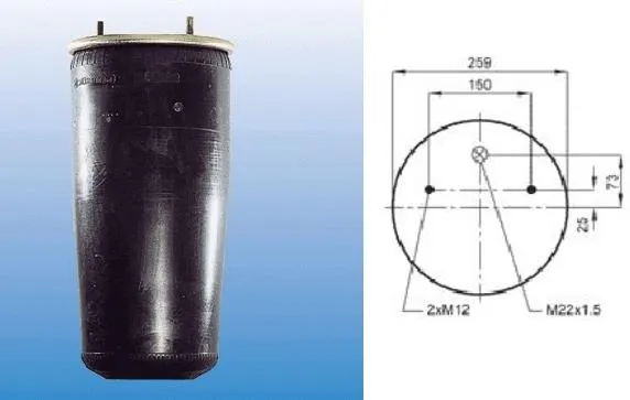 Bolsa neumática del eje 940M BPW