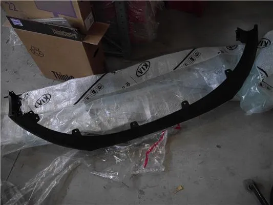 Rejilla del parachoques delantero 865613W010 Hyundai/Kia