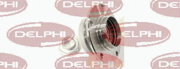Buje de rueda delantero BK417 Delphi