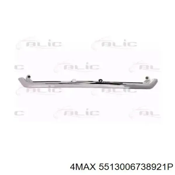Moldura de capó 91121SG010 Subaru