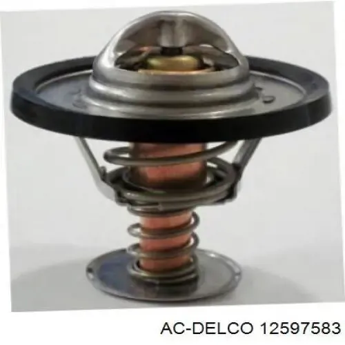 WG1261857 Wilmink Group
