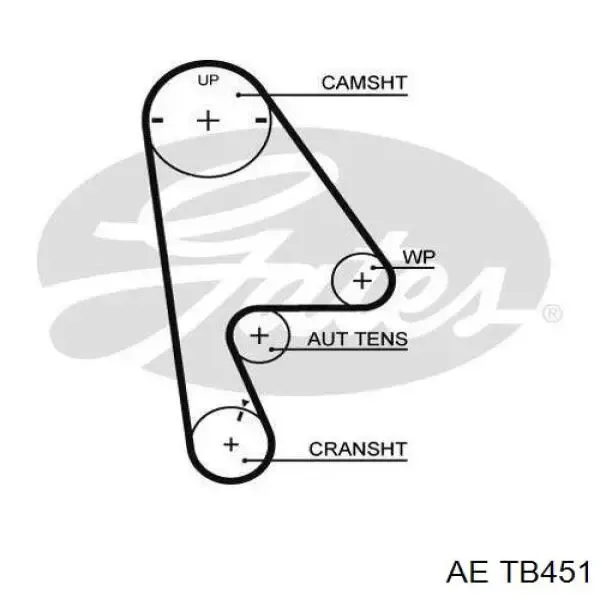 Correa distribución TB451 AE