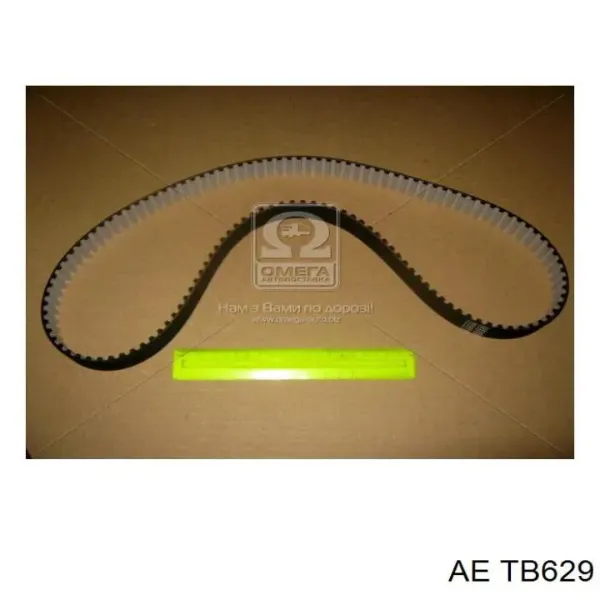 Correa distribución TB629 AE
