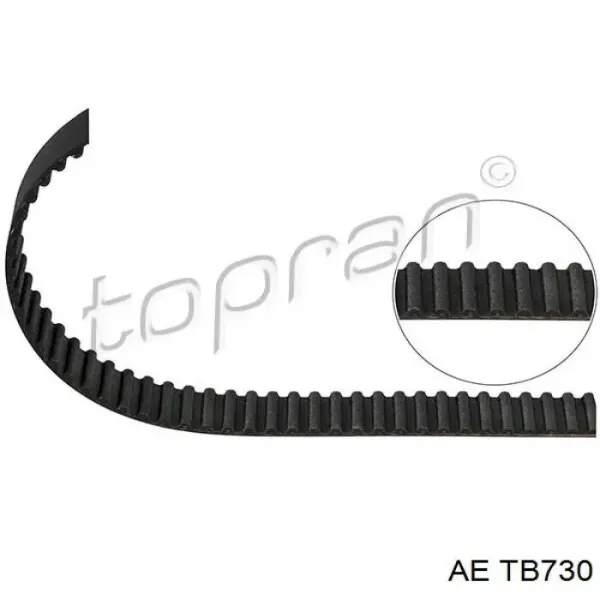 Correa distribución TB730 AE