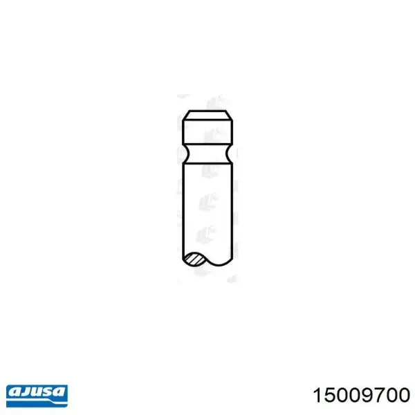 15009700 Ajusa