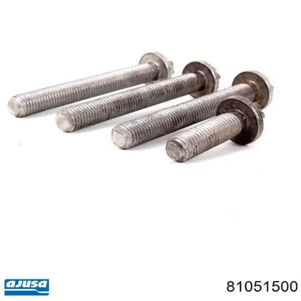 81051500 Ajusa