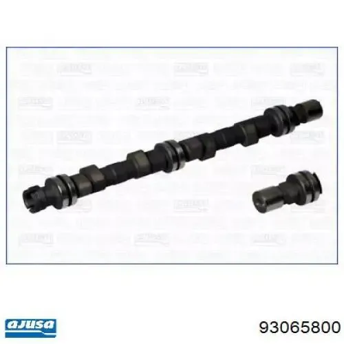 Árboles de levas WG1171265 Wilmink Group