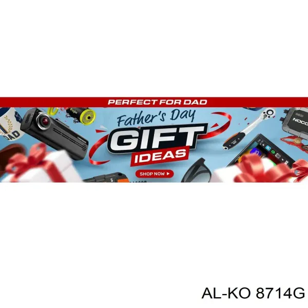 Amortiguador delantero BMW 3 E30