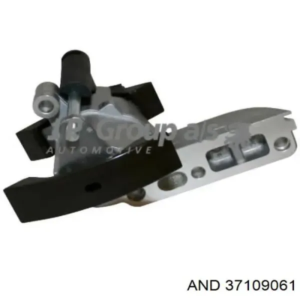 Cadena de distribución 37109061 AND