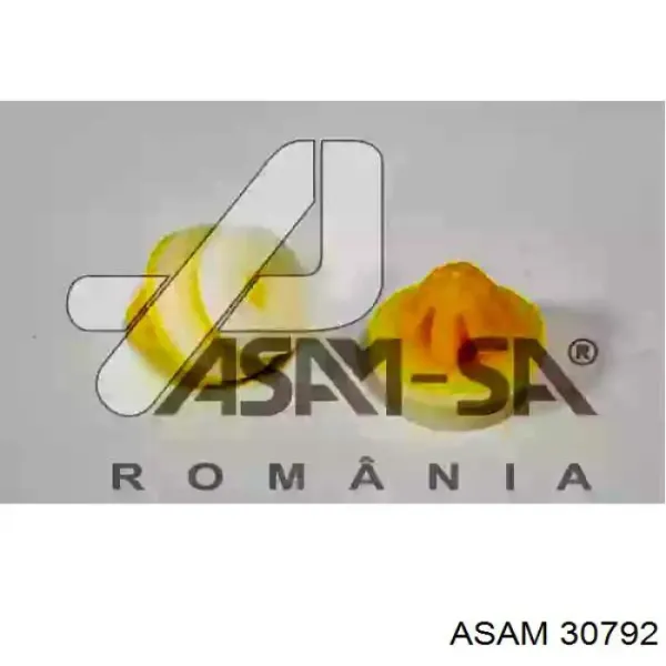 Clip de fijación de revestimiento de puerta 30792 Asam