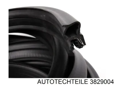 Sello del maletero (puerta trasera 3/5) AUTOTECHTEILE 3829004