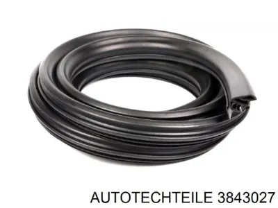 Junta de puerta lateral corrediza AUTOTECHTEILE 3843027