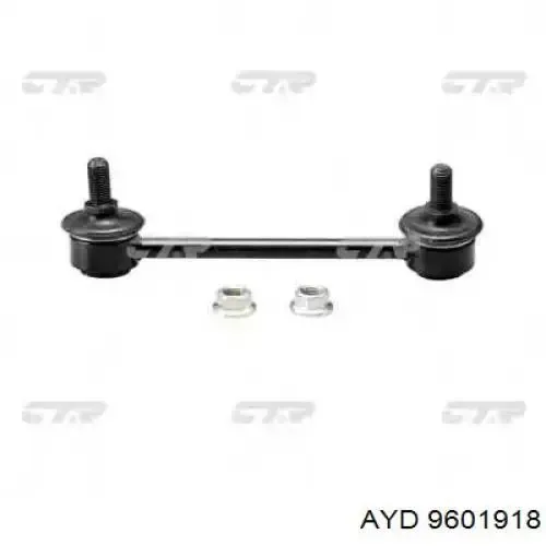 RL513204H Raiso