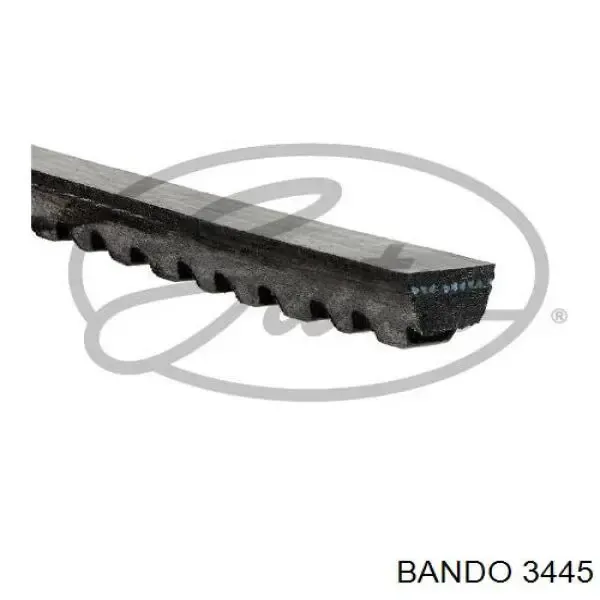 Correa de alternador 13X1155 Continental/Siemens