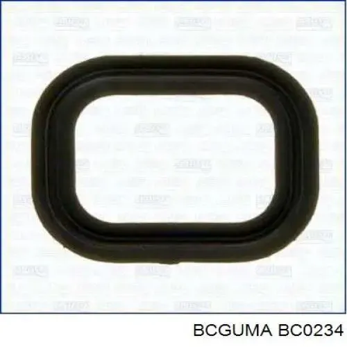 Buje de barra estabilizadora trasera BC0234 Bcguma