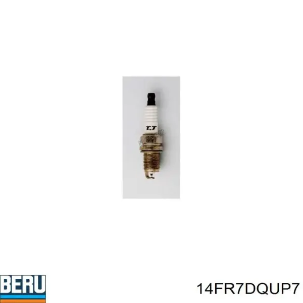SKSP1990005 Market (OEM)