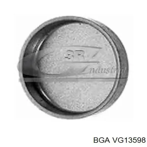 Guía de válvula VG13598 BGA