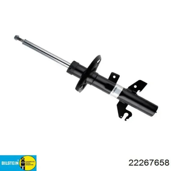 Amortiguador delantero izquierdo RS267658 Raiso