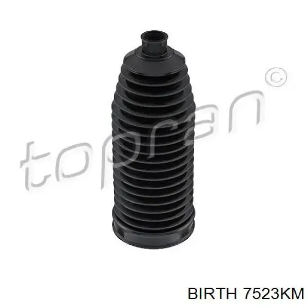 Fuelle, dirección BMW 5 E61