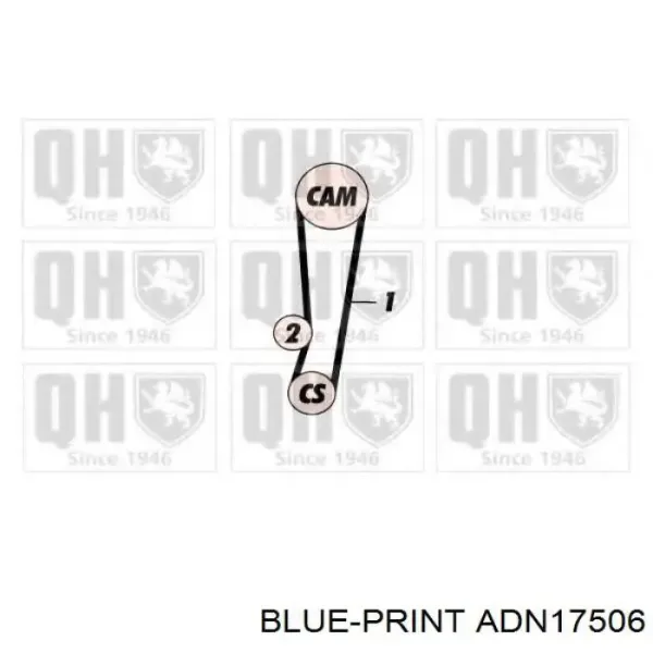Correa distribución A356L075 SUN