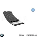 Correa de alternador Ford Focus HN