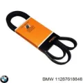 Correa de alternador BMW X1 E84