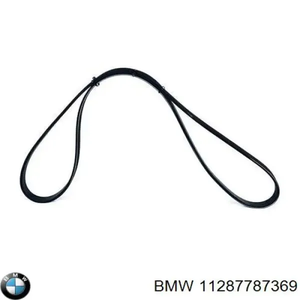 Correa de alternador 11287787369 BMW