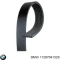 Correa de alternador Skoda SuperB 3V3