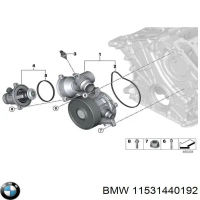 Junta, termostato BMW 11531440192