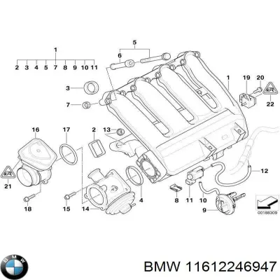 Abrazadera de silenciador trasera BMW 11612246947