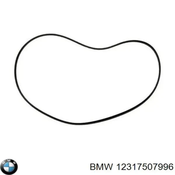 Junta (anillo) del generador con refrigeración por agua F00M258503 Bosch